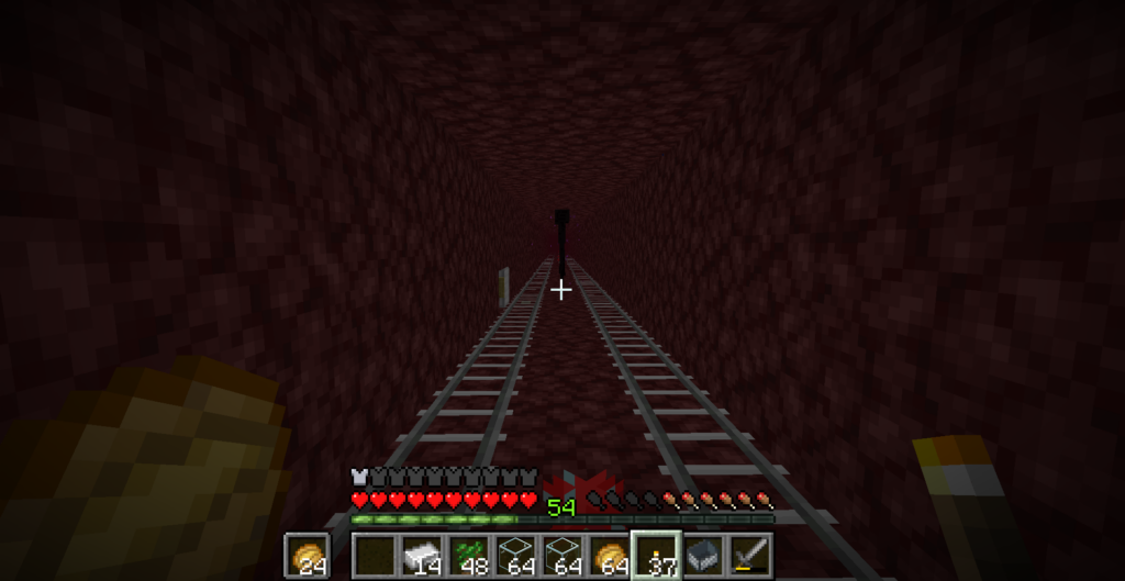 撮り鉄もといエンダーマン