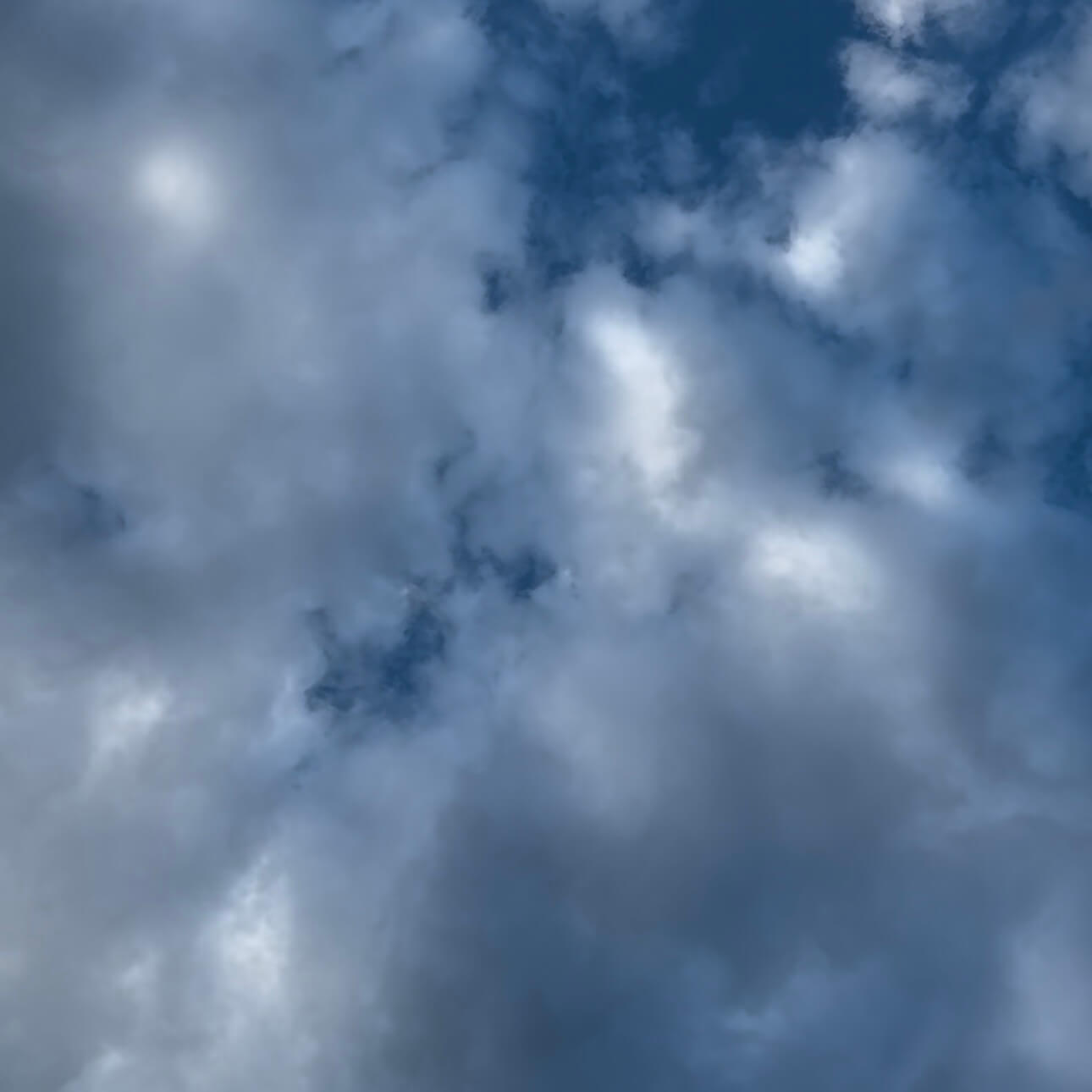 ずっと初見な人