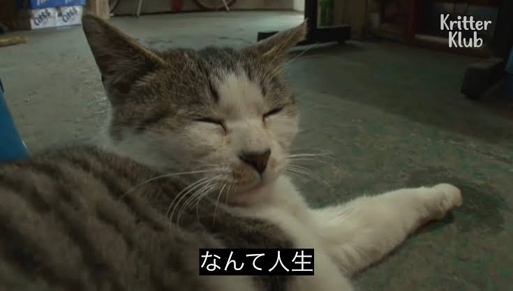 なんて人生